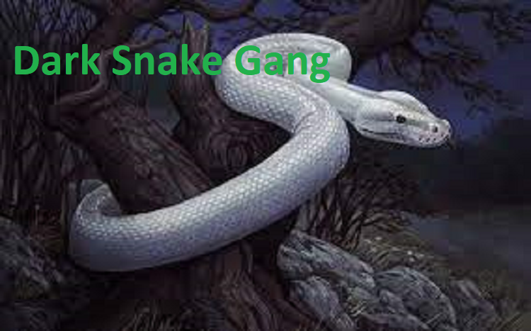 Dark Snake Gang